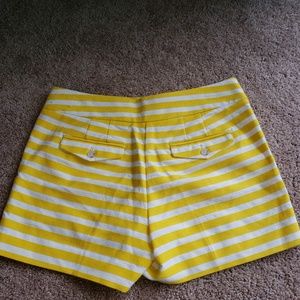 The Loft by Ann Taylor Yellow and White Shorts